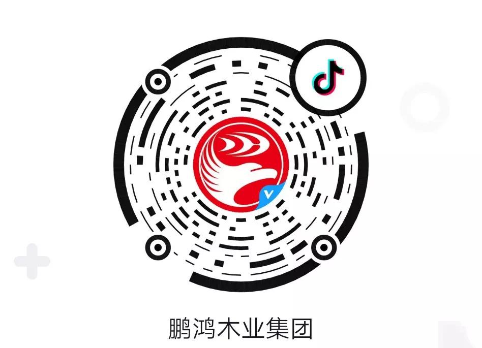 這廂有禮丨這個春節(jié)我最鴻，抖音相伴幸福年